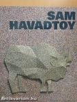Sam Havadtoy