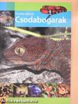 Divatos állatok - Csodabogarak