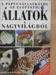 Állatok a nagyvilágból