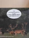 Jagdmöglichkeiten in den Ungarischen Forstverwaltungen