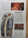 National Geographic April 2000