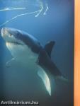 National Geographic April 2000