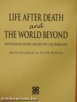 Life After Death and the World Beyond