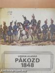 Pákozd, 1848