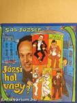 Józsi, hol vagy? - Hanglemezzel