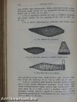 Ethnographia 1902. január-deczember/A Magyar Nemzeti Múzeum Néprajzi Osztályának Értesítője 1902. január-deczember