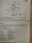 English for Business and Everyday Use