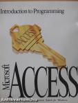 Microsoft Access - Introduction to Programming