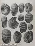 Callovian (Jurassic) Ammonites from the United States and Alaska I.