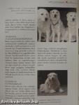 A kutyák enciklopédiája