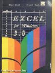 Excel 3.0 for Windows