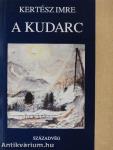 A kudarc