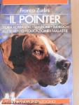 Il Pointer