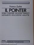 Il Pointer