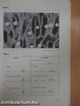 Calcium Entry Blockers in Cardiovascular and Cerebral Dysfunctions