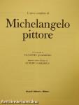 L'opera completa di Michelangelo pittore