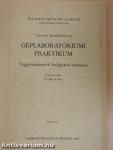 Géplaboratóriumi praktikum