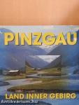 Der Pinzgau