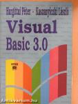 Visual Basic 3.0