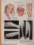 Clinical Symposia 3/1991