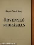 Örvénylő sodrásban