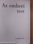 Az emberi test 1. (töredék)