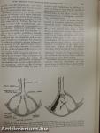 Diagnosis of Diseases of the Chest I.