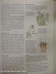 The Complete Book of Plant Propagation