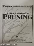 An Illustrated Guide to Pruning