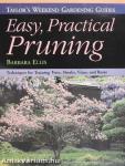 Easy, Practical Pruning