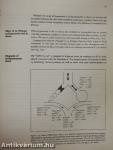 Introduction to Respiratory Physiology