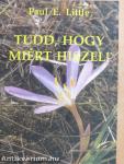 Tudd, hogy miért hiszel!