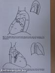 Introduction to Clinical Cardiology