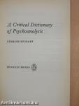 A Critical Dictionary of Psychoanalysis