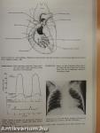 Clinical Cardiology