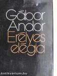 Erélyes elégia