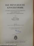 Das menschliche Knochenmark