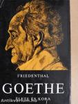 Goethe élete és kora