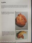 A Colour Atlas of Cardiac Pathology