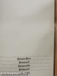Bruxelles/Brussel/Brussels/Brüssel 1990-1991