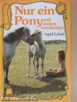 Nur ein Pony und andere Geschichten