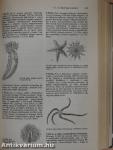 Természettudományi kisenciklopédia