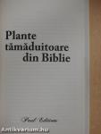 Plante tamaduitoare din Biblie