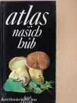 Atlas nasich húb