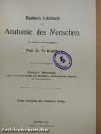 Rauber's Lehrbuch der Anatomie des Menschen Abteilung 6. (töredék)