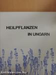 Heilpflanzen in Ungarn