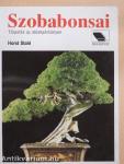 Szobabonsai