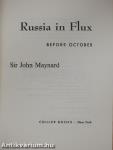 Russia in Flux