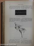 Természettudományi Közlöny 1905. január-december/Pótfüzetek a Természettudományi Közlönyhöz 1905. január-december