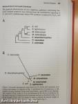 Oxidative Stress and the Molecular Biology of Antioxidant Defenses